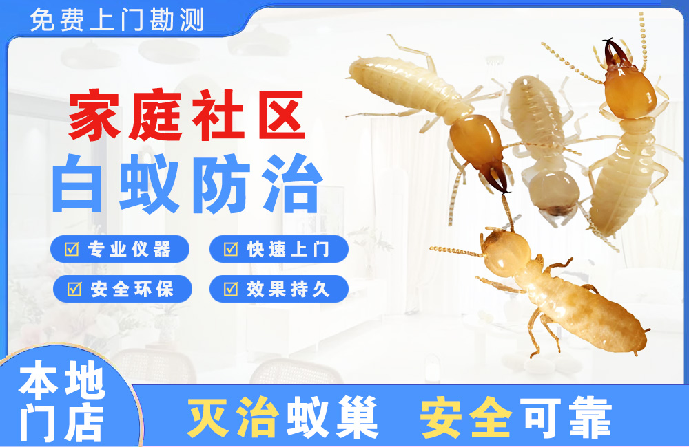 义乌家庭社区白蚁防治