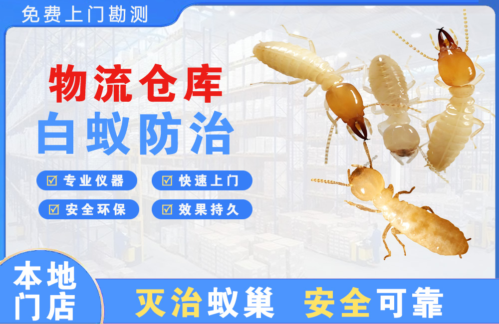 义乌物流仓库白蚁防治