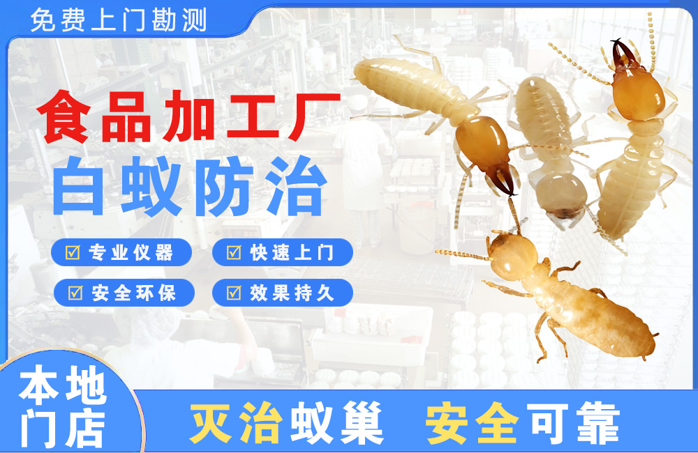 义乌食品加工厂白蚁防治