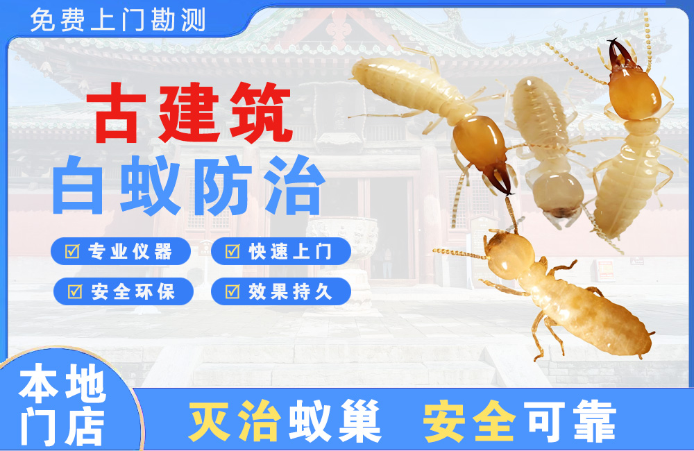 义乌古建筑白蚁防治