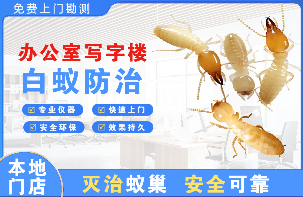 义乌办公室写字楼白蚁防治