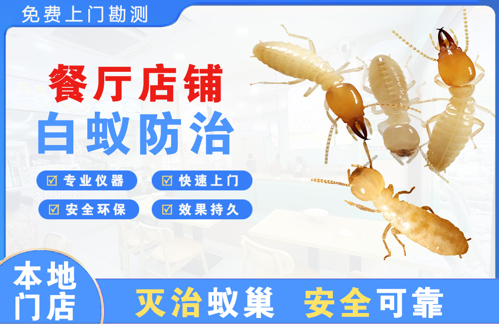 义乌餐厅店铺白蚁防治